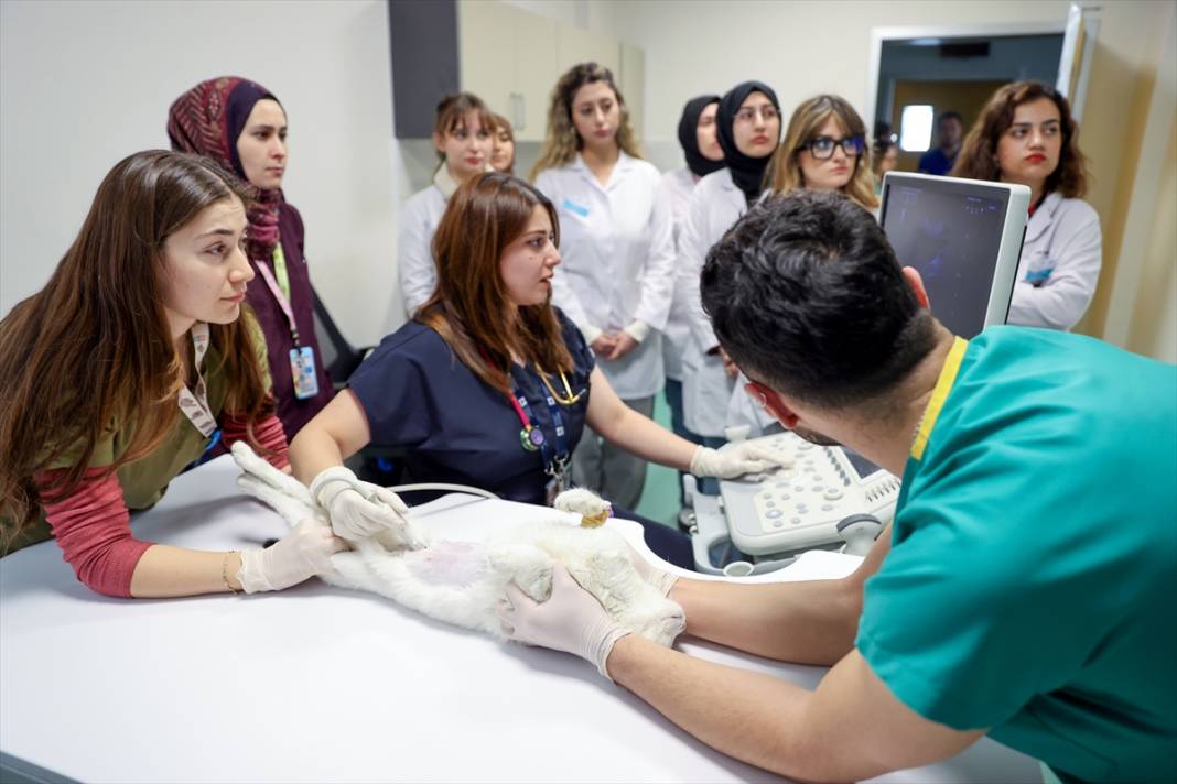 Selçuk Üniversitesi sektörde en çok aranan isimleri yetiştiriyor 1